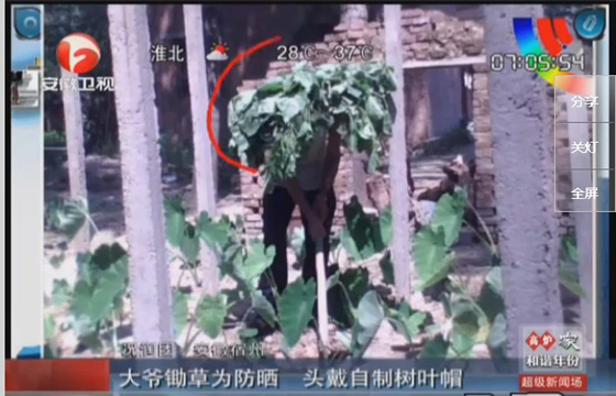 農民防曬有絕招，就地取材，頭戴樹葉自制帽子