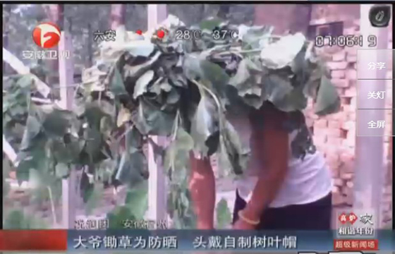 農民防曬有絕招，就地取材，頭戴樹葉自制帽子
